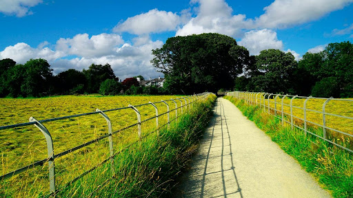 Which Metal Fencing Option Will Meet Your Requirements?